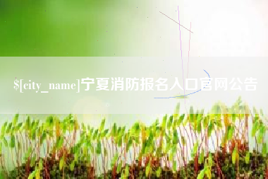 楚雄宁夏消防报名入口官网公告