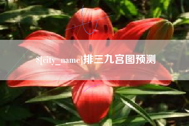 楚雄排三九宫图预测