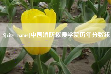 楚雄中国消防救援学院历年分数线