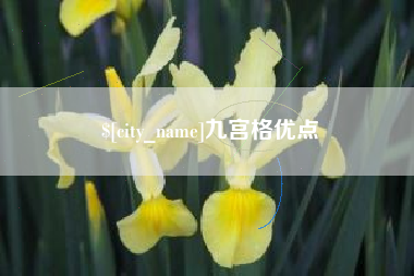 楚雄九宫格优点