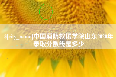 楚雄中国消防救援学院山东2020年录取分数线是多少