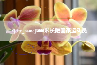 楚雄5000米长跑国家运动员