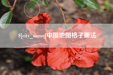 楚雄中国地图格子画法