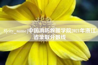 楚雄中国消防救援学院2021年浙江省录取分数线