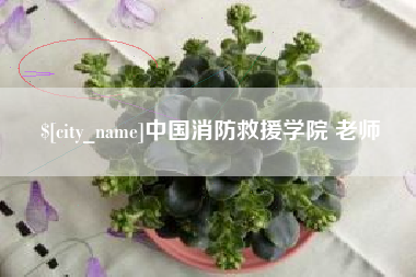 楚雄中国消防救援学院 老师