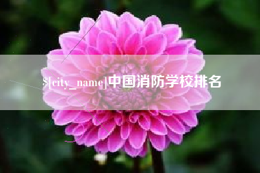 楚雄中国消防学校排名