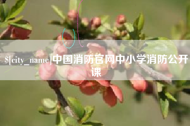 楚雄中国消防官网中小学消防公开课