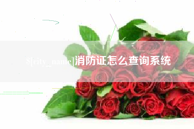 楚雄消防证怎么查询系统