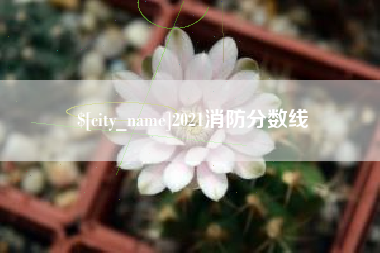 楚雄2021消防分数线