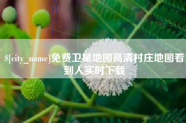 楚雄免费卫星地图高清村庄地图看到人实时下载