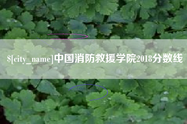 楚雄中国消防救援学院2018分数线