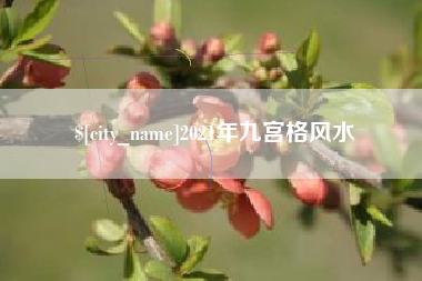 楚雄2021年九宫格风水
