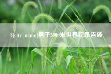 楚雄男子5000米世界纪录告破