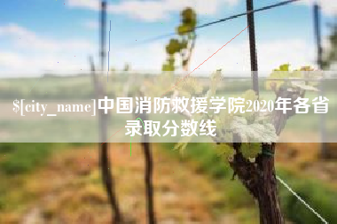 楚雄中国消防救援学院2020年各省录取分数线