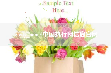 楚雄中国执行网信息官网