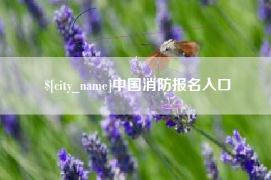 楚雄中国消防报名入口