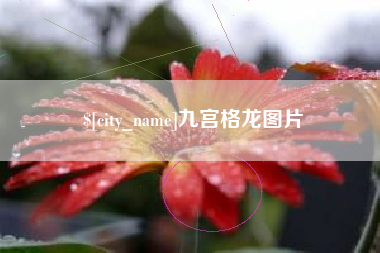 楚雄九宫格龙图片