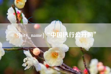 楚雄“中国执行公开网”