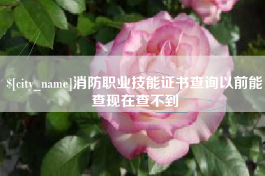 楚雄消防职业技能证书查询以前能查现在查不到
