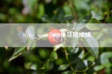 楚雄5000米及格成绩
