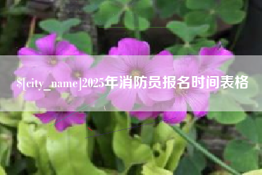 楚雄2025年消防员报名时间表格
