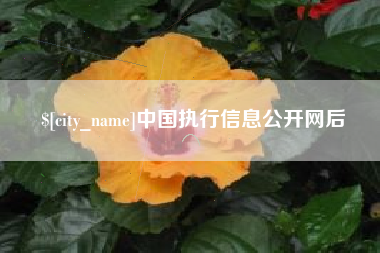 楚雄中国执行信息公开网后