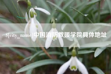楚雄中国消防救援学院具体地址