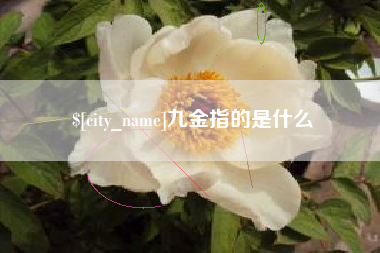 楚雄九金指的是什么