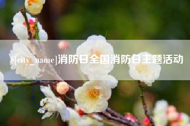 楚雄消防日全国消防日主题活动