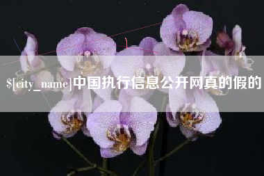 楚雄中国执行信息公开网真的假的