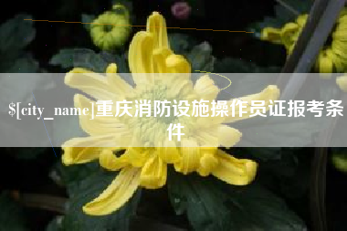 楚雄重庆消防设施操作员证报考条件