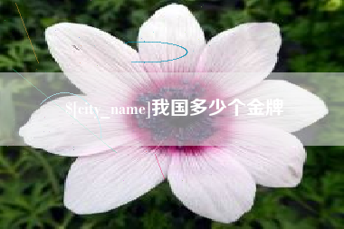 楚雄我国多少个金牌