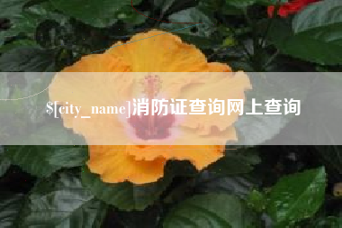 楚雄消防证查询网上查询