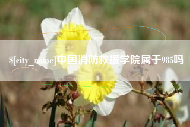 楚雄中国消防救援学院属于985吗