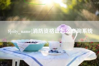 楚雄消防资格证怎么查询系统