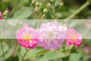 楚雄第九金是