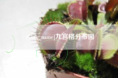 楚雄九宫格分布图