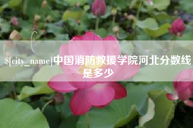 楚雄中国消防救援学院河北分数线是多少