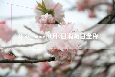 楚雄11月9日消防日全称