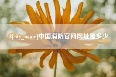 楚雄中国消防官网网址是多少