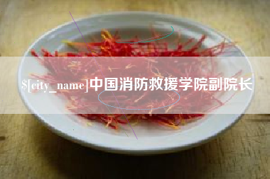 楚雄中国消防救援学院副院长