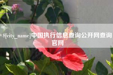 楚雄中国执行信息查询公开网查询官网