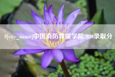 楚雄中国消防救援学院2020录取分