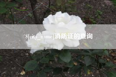 楚雄消防证的查询