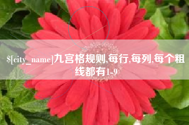 楚雄九宫格规则,每行,每列,每个粗线都有1-9