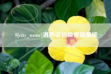 楚雄消防证初级查询系统