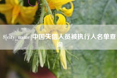 楚雄中国失信人员被执行人名单查询