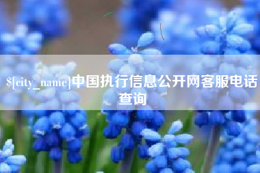 楚雄中国执行信息公开网客服电话查询
