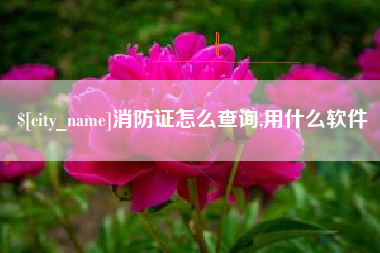 楚雄消防证怎么查询,用什么软件
