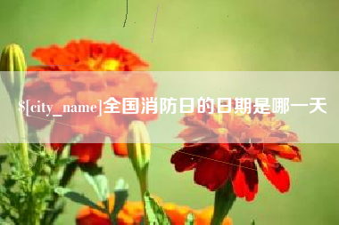 楚雄全国消防日的日期是哪一天